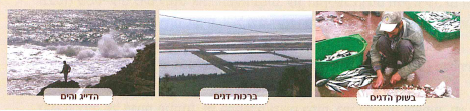 (בספר ארבע תמונות, היעזר במנחה)
